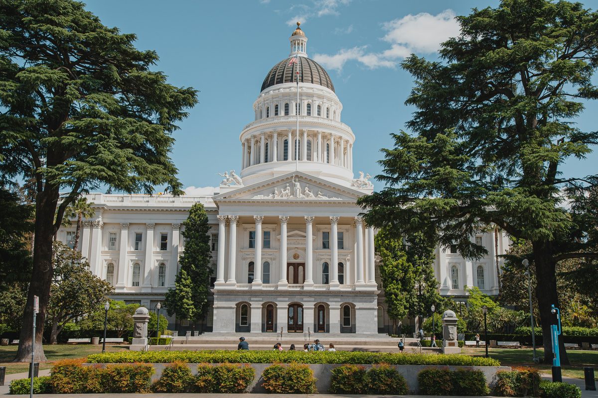 The west front of the California State Capitol in Sacramento, framed by tall cedar trees in Capitol Park