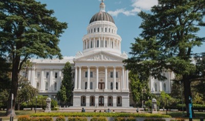 The west front of the California State Capitol in Sacramento, framed by tall cedar trees in Capitol Park